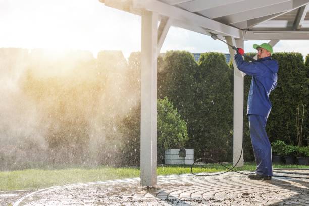 Pre-Holiday Cleaning in Chipley, FL