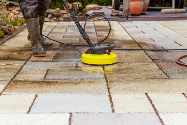 Best Solar Panel Cleaning  in Chipley, FL