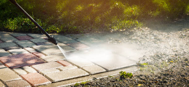 Animal Enclosure Cleaning in Chipley, FL